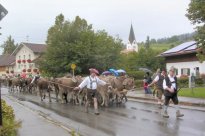 Aeltere Bilder » Veranstaltungen im Dorf » Viehscheid 2005